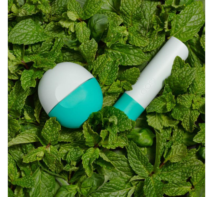 Набор бальзамов для губ EOS Lip Balm Garden Mint flavor Садовая мята (2 предмета)